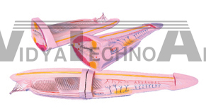 The dissection model of lancelet